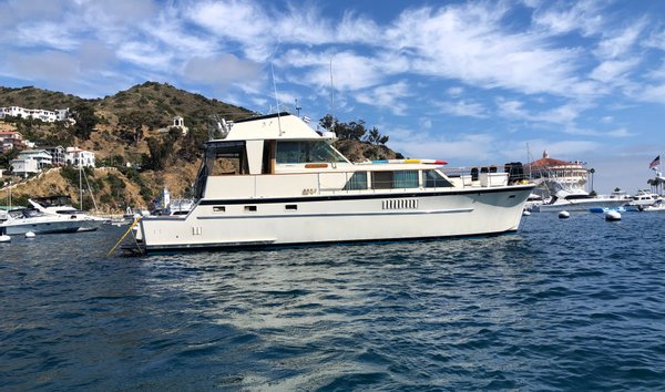 New to Market (11252020)