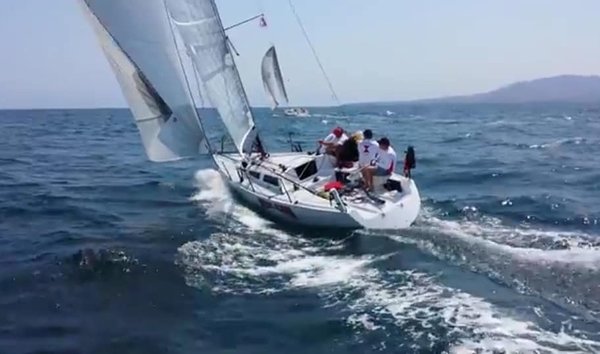 Hobie33M (11252459)