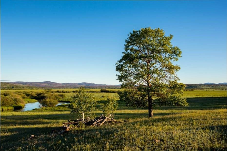 The Old Knowles Ranch, a Spectacular Working Ranch in in Alexis Creek