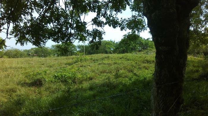 Terrain à Sosúa, Puerto Plata, République dominicaine 4 - 11259715