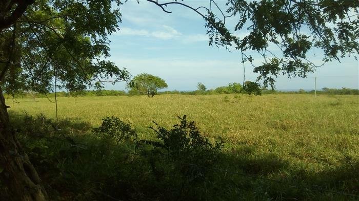 Terrain à Sosúa, Puerto Plata, République dominicaine 5 - 11259715