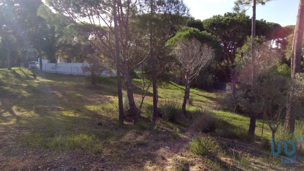 Land in Almancil, Algarve, Portugal 3 - 11215825