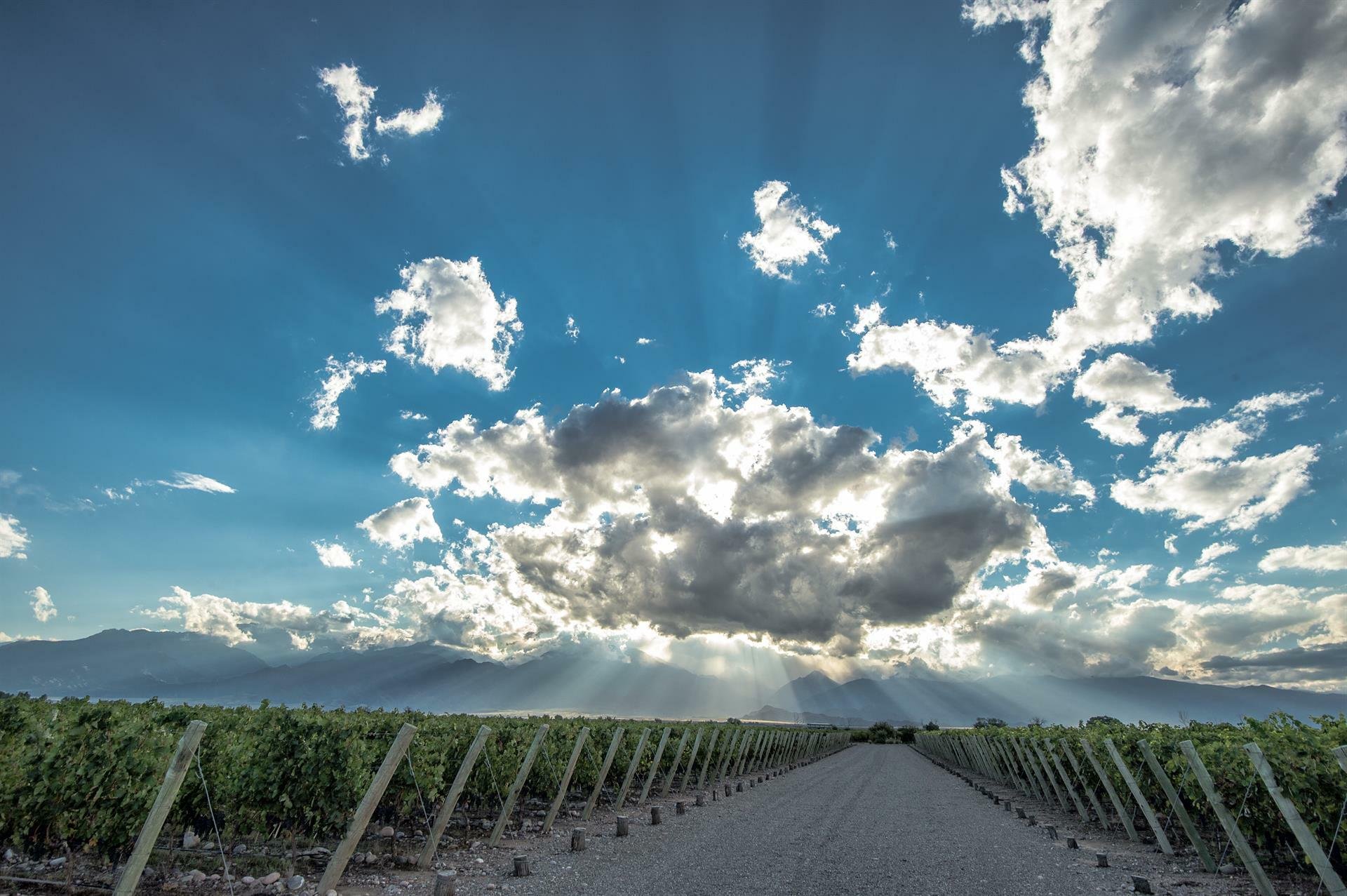 Exclusive Villas At The Vines Resort & Spa, Mendoza, Uco In Mendoza