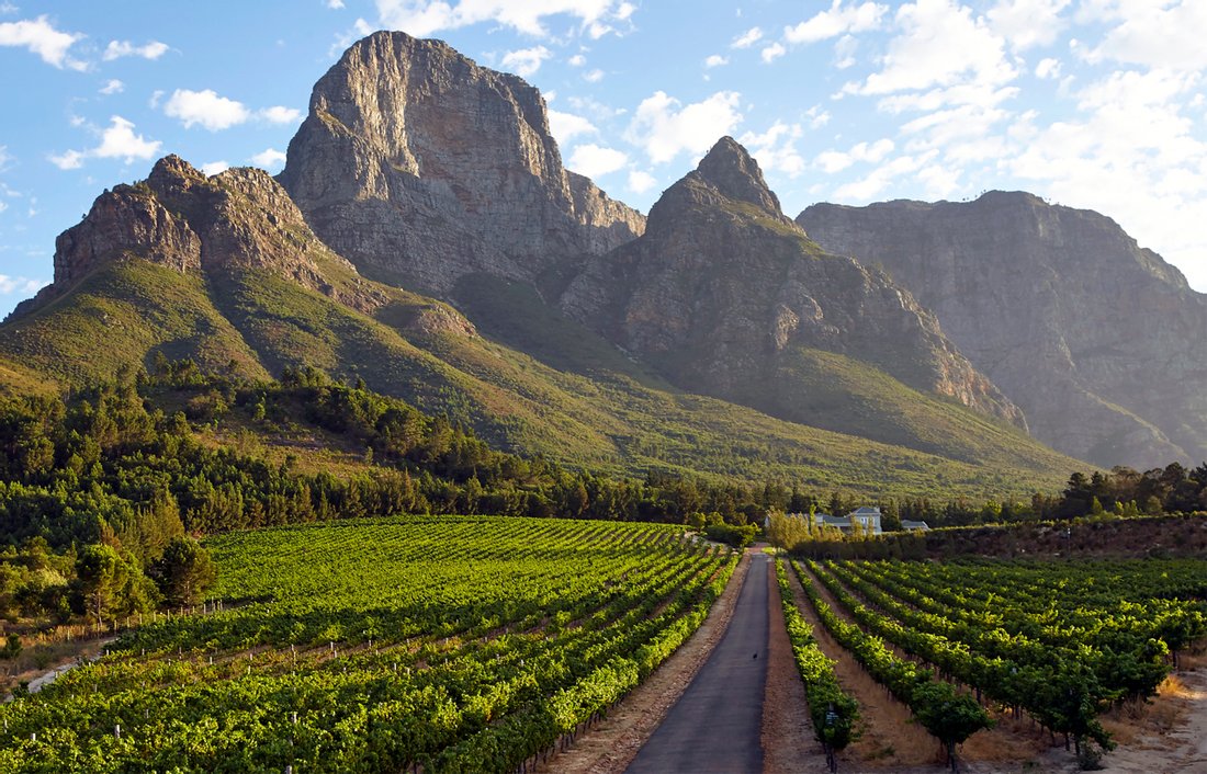 Domaine Viticole Franschhoek Dans Franschhoek, Cap Occidental, Afrique Du Sud à Vendre (11203371)