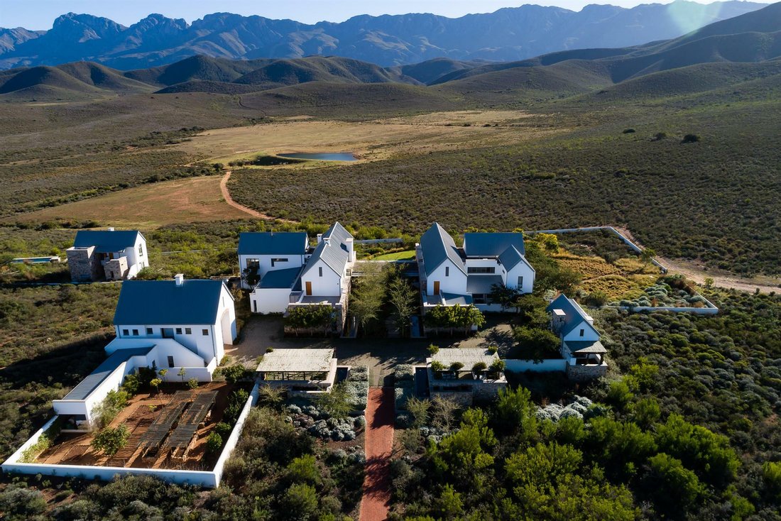 African Splendour On Majestic Display In Robertson, Western Cape, South