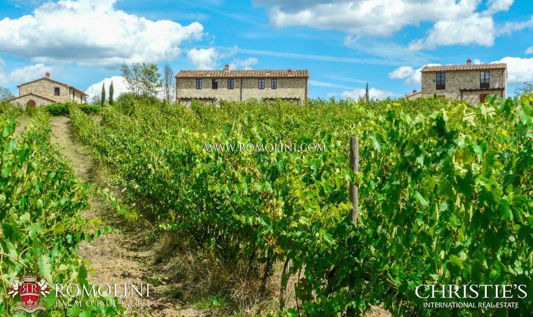 Chianti Estate With Two Hamlets For Sale In Arezzo In Bucine