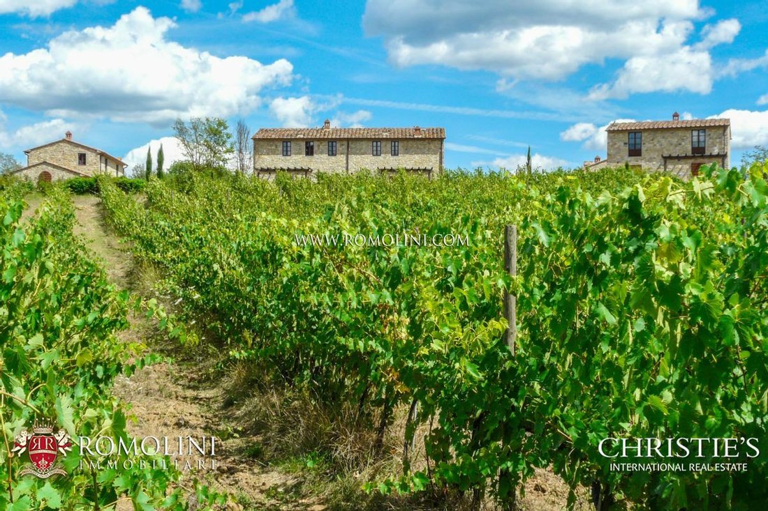 Chianti Estate With Two Hamlets For Sale In Arezzo In Bucine