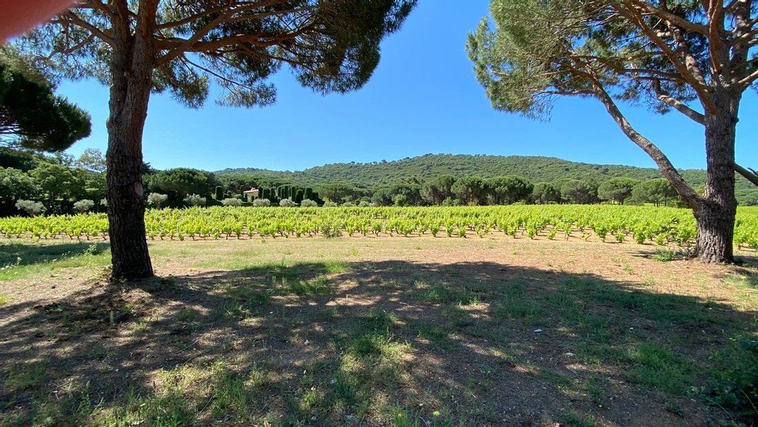 Ramatuelle Large Luxury In Ramatuelle, Provence Alpes Côte D'azur