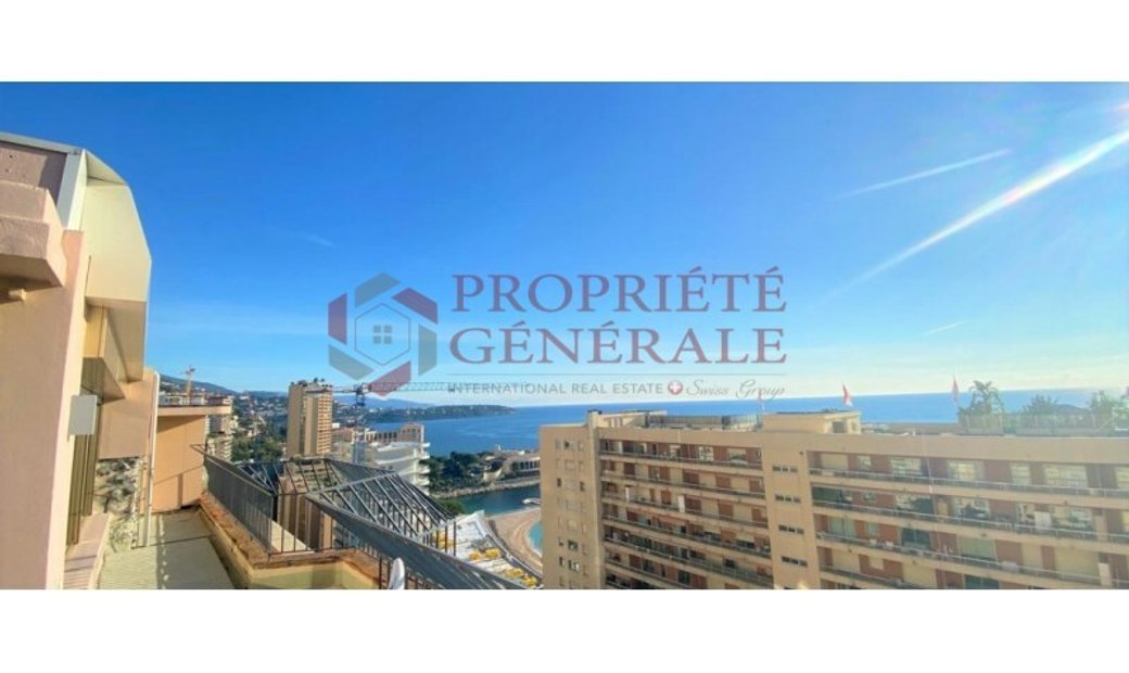 Luxury Fully Renovated And Very Bright 3 Bedroom In Monaco, Monaco For
