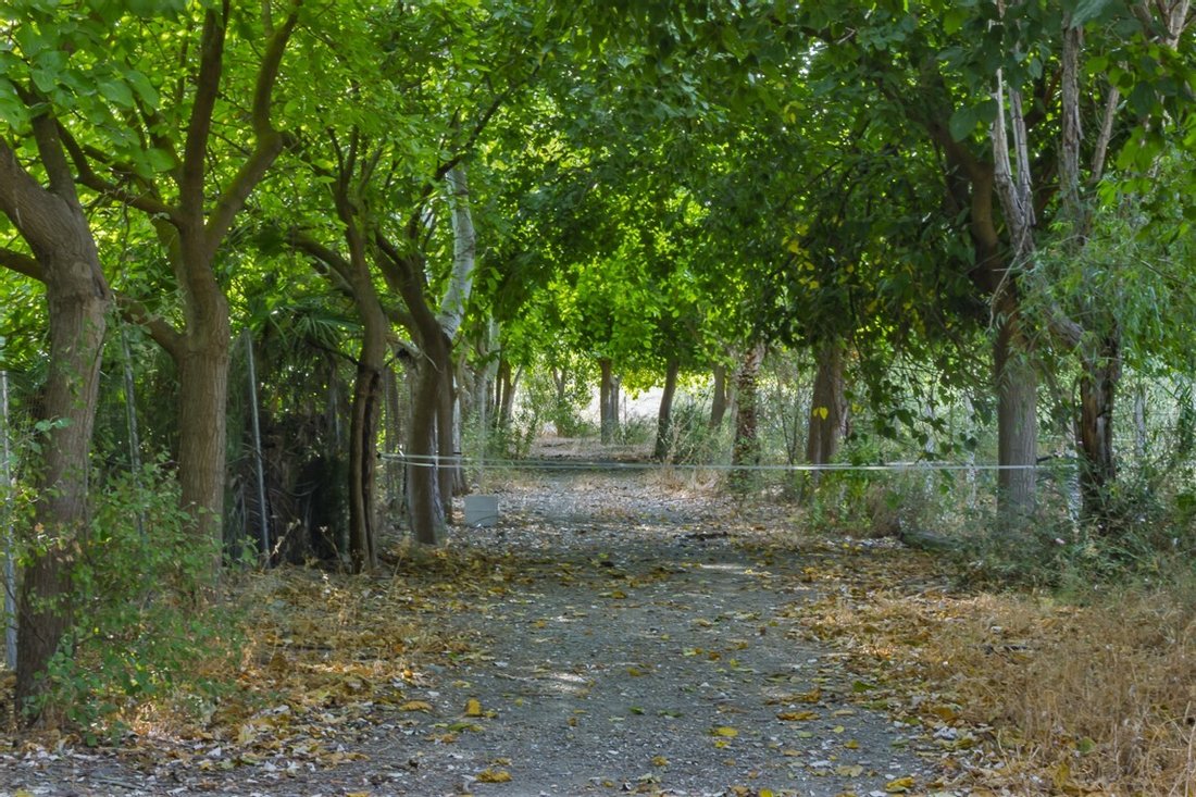 Finca in Coin, Andalusia, Spain 2 - 11233776