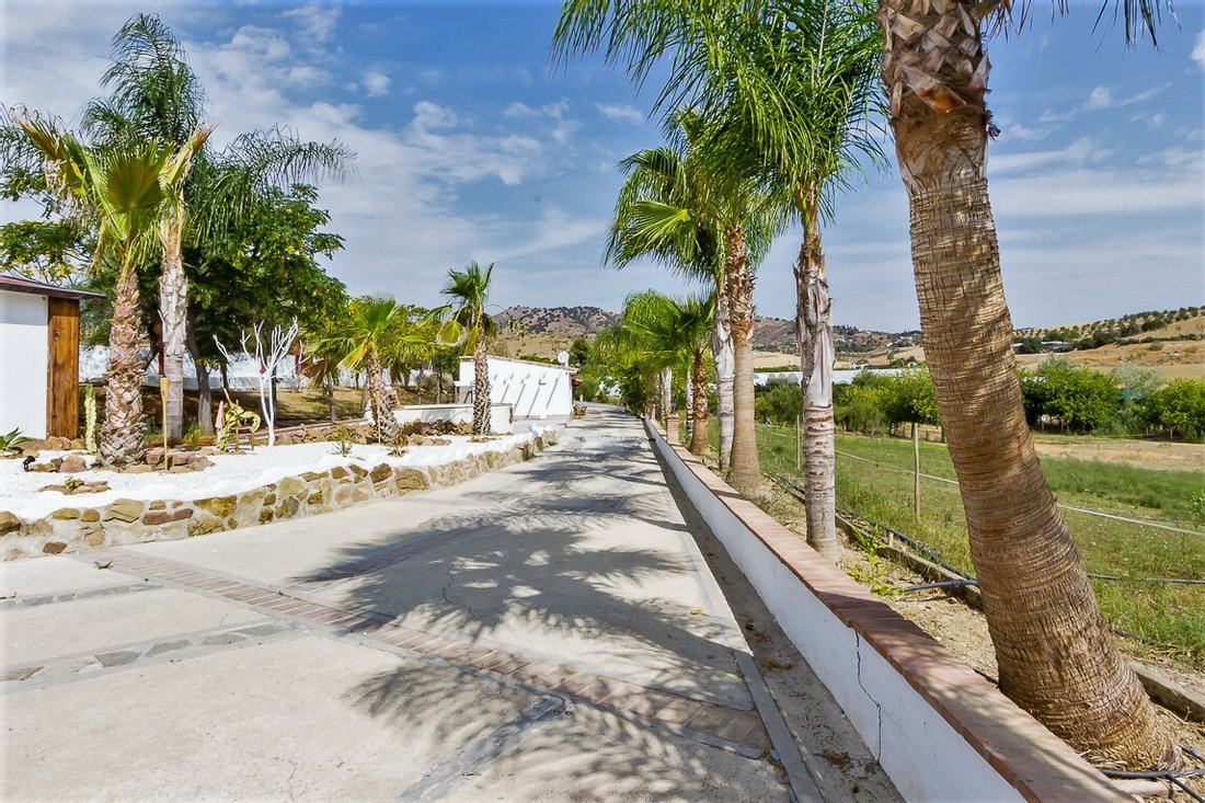 Finca in Coin, Andalusia, Spain 4 - 11233776