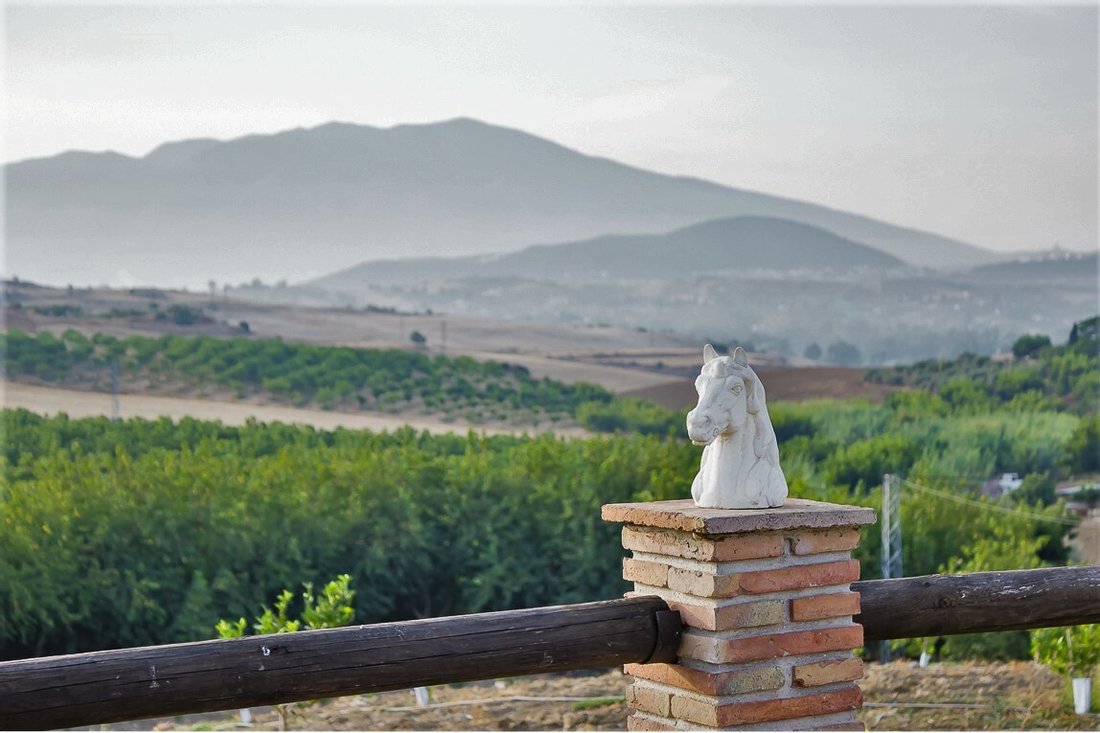 Finca in Coin, Andalusia, Spain 1 - 11233776