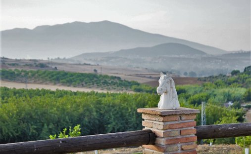 Finca in Coin, Andalusia, Spain 1