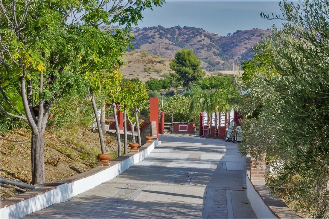 Finca in Coin, Andalusia, Spain 5 - 11233776