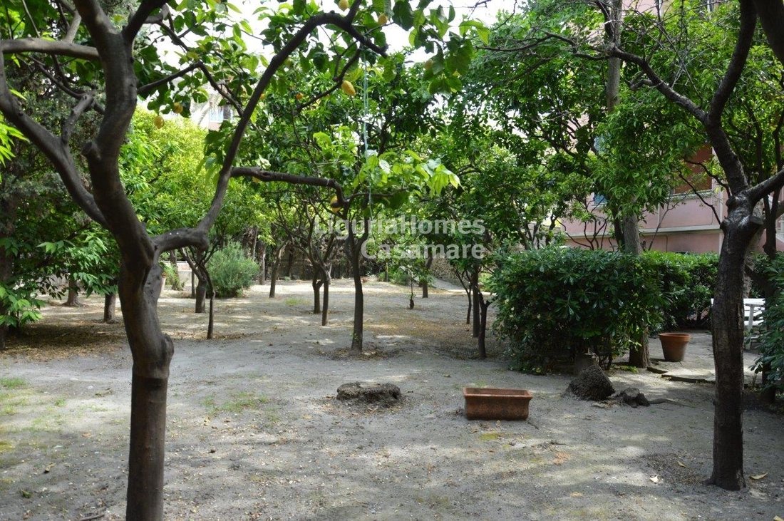 Villa in Bordighera, Liguria, Italy 3 - 11297210