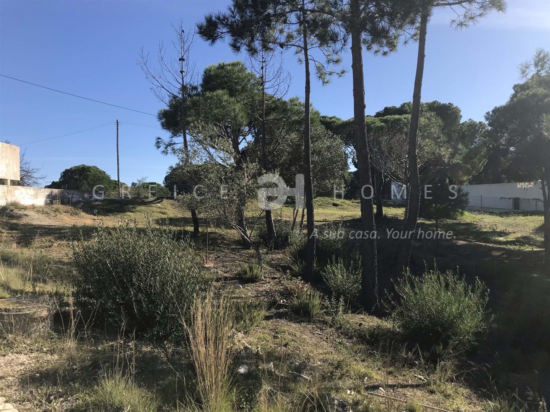 Land in Almancil, Algarve, Portugal 3 - 11107680