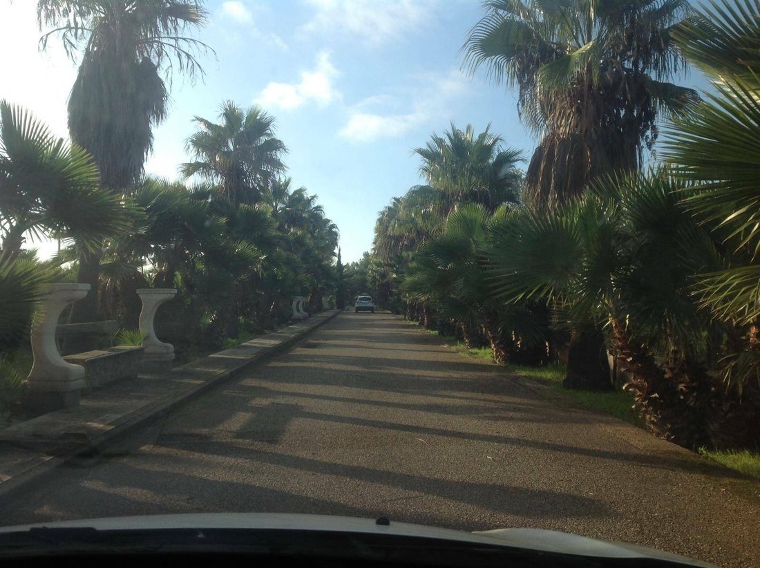 Villa in Palma, Balearic Islands, Spain 3 - 11023147