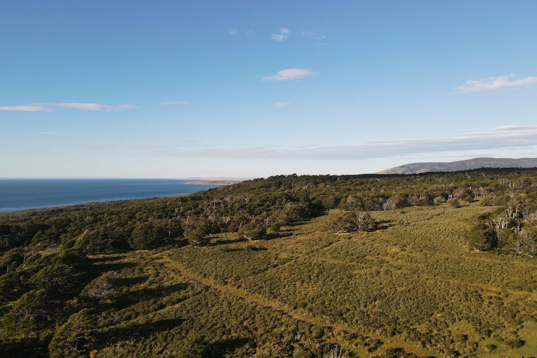 Hacienda In Seno In Punta Arenas, Magallanes And Chilean Antarctica ...