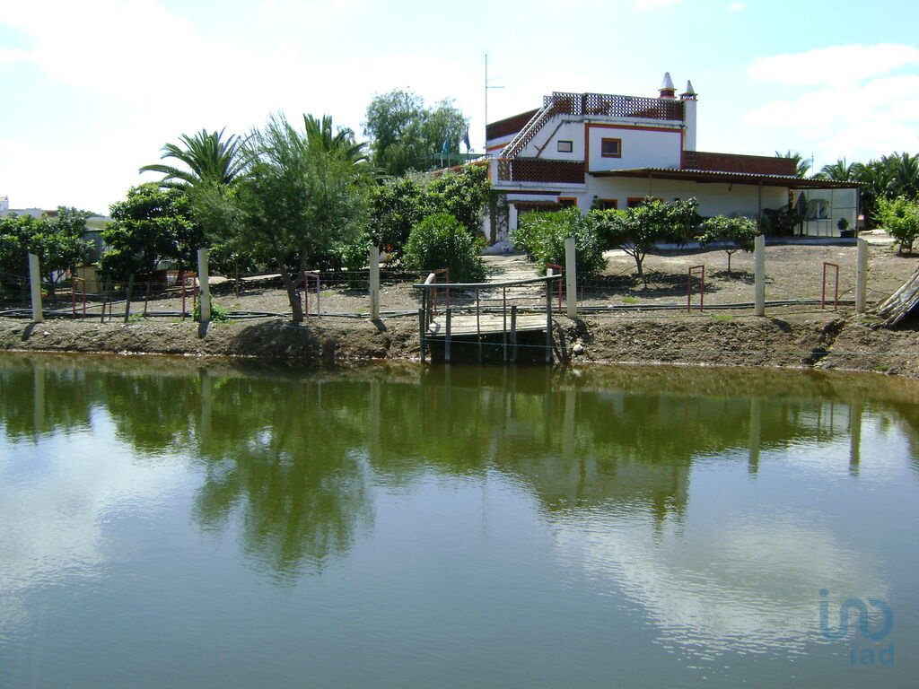 Land in Cabeça Gorda, Beja, Portugal 1 - 11061058