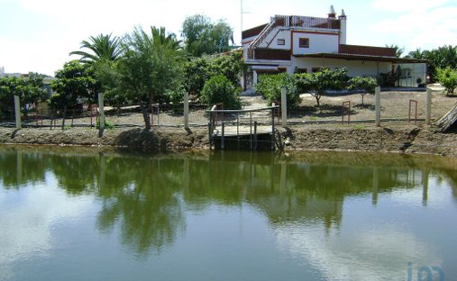 Terrain à Cabeça Gorda, Beja, Portugal 1