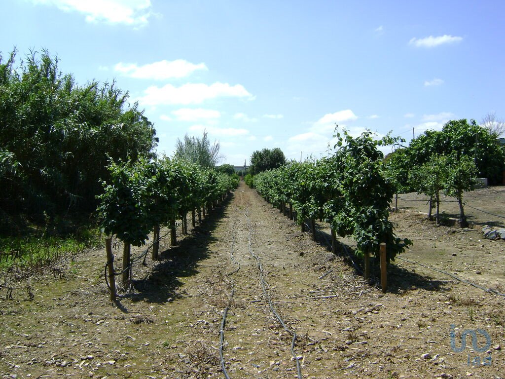 Land in Cabeça Gorda, Beja, Portugal 3 - 11061058