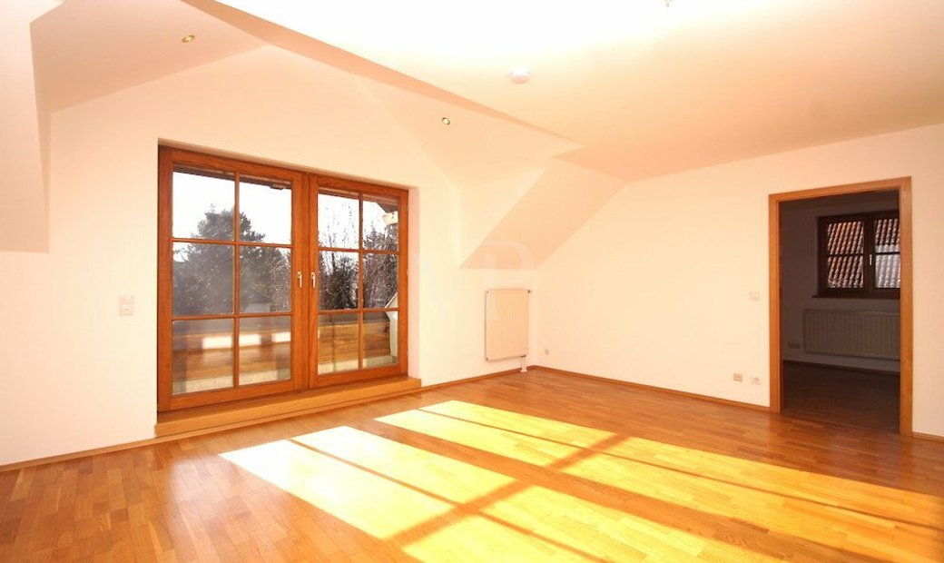 Single ingolstadt