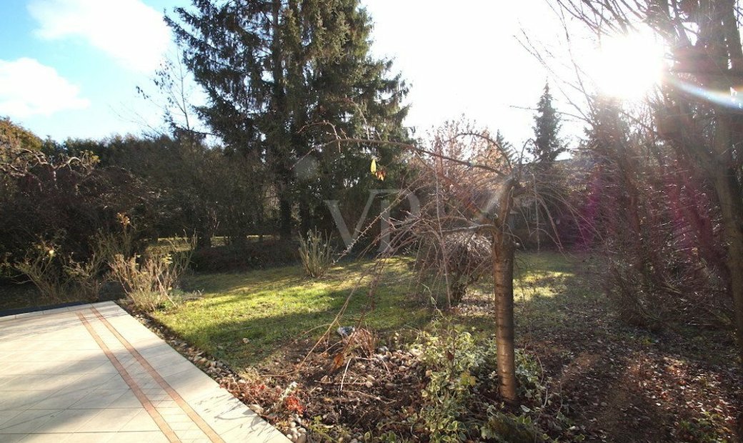 Single ingolstadt