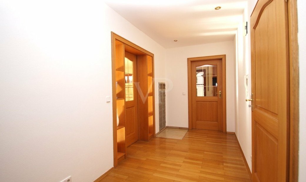 Single ingolstadt