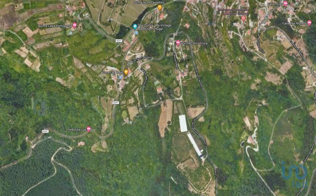 Land in Colares, Lisbon, Portugal 5 - 11383889