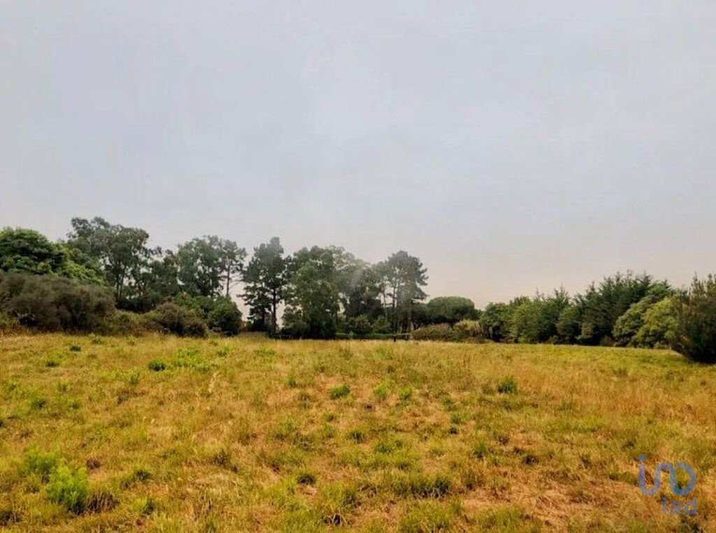 Land in Colares, Lisbon, Portugal 3 - 11383889