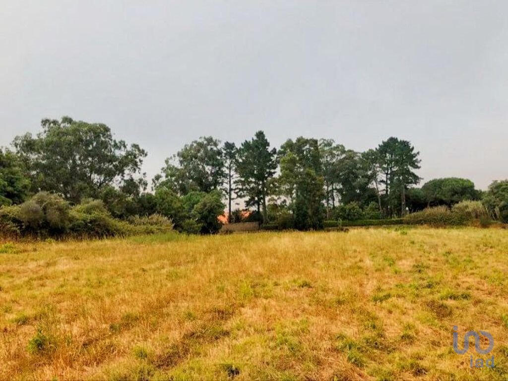 Land in Colares, Lisbon, Portugal 2 - 11383889