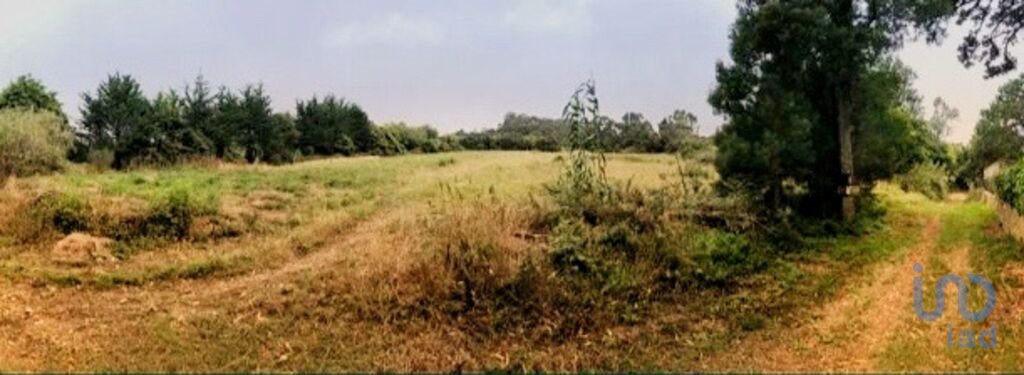 Land in Colares, Lisbon, Portugal 4 - 11383889