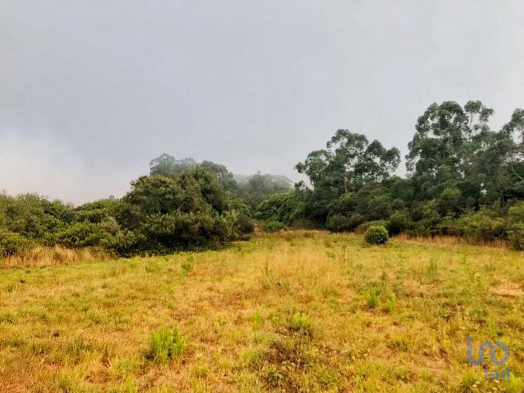 Land in Colares, Lisbon, Portugal 1 - 11383889