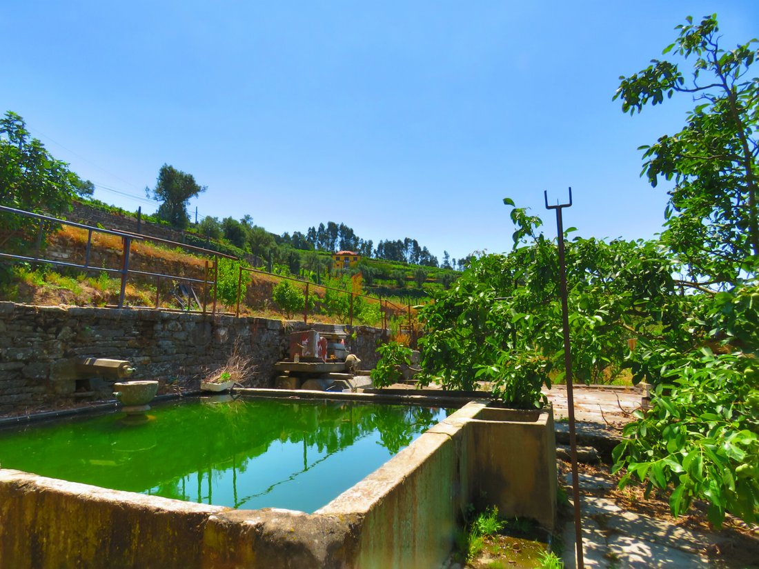 Farm Ranch in Oliveira, Vila Real District, Portugal 5 - 11385602