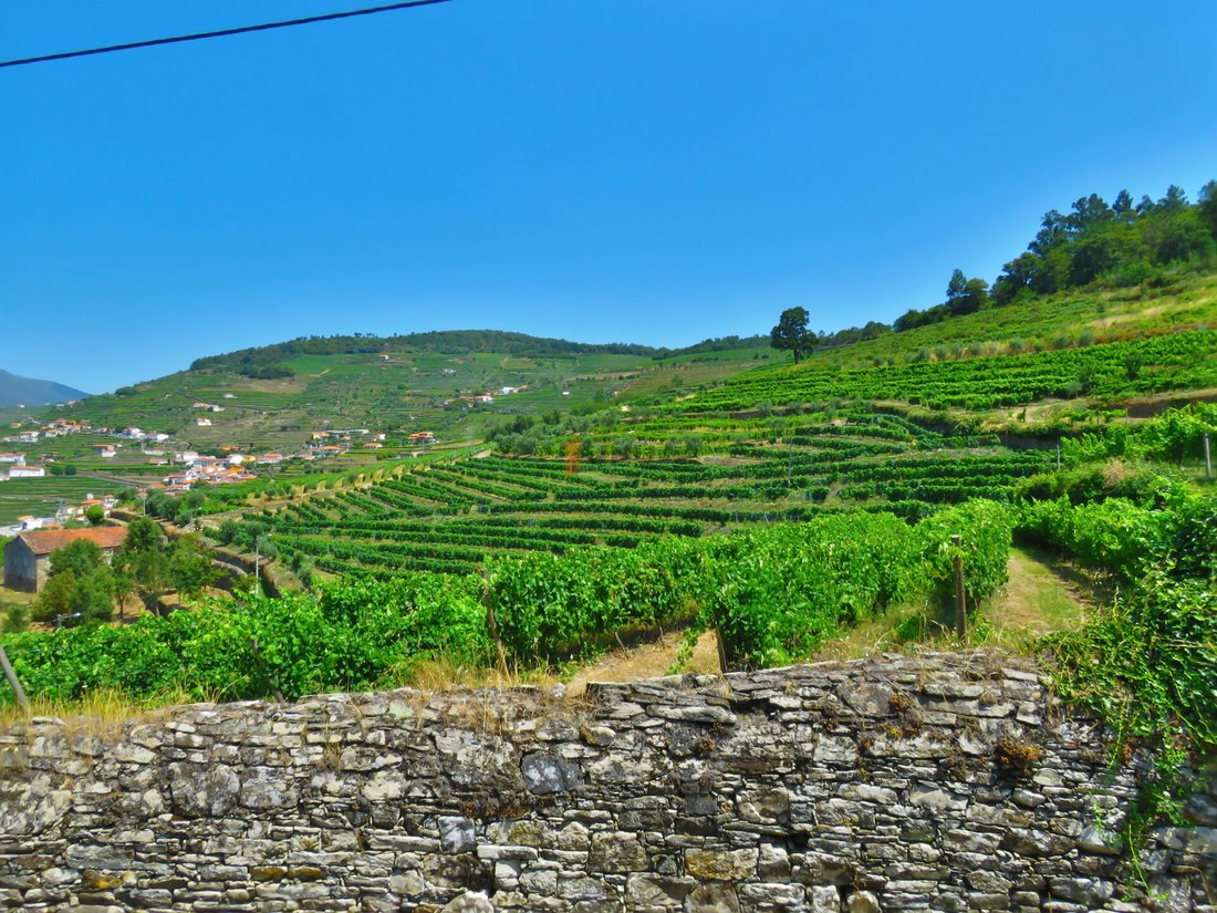 Farm Ranch in Oliveira, Vila Real District, Portugal 4 - 11385602