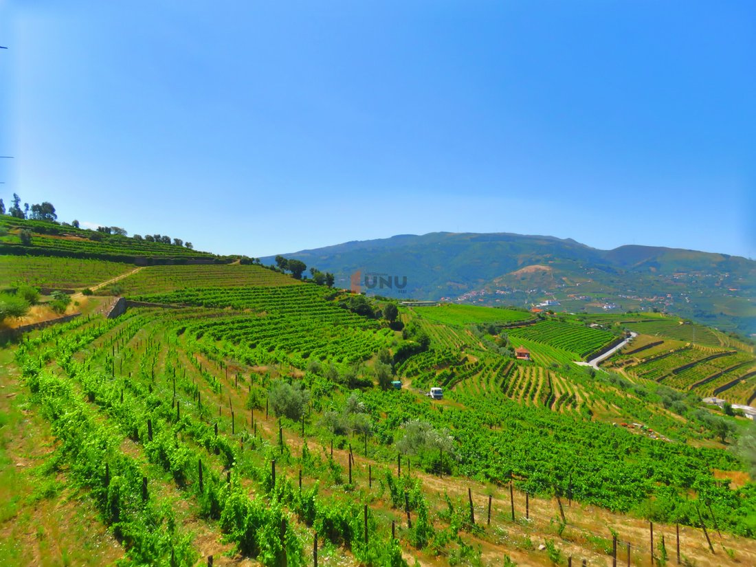 Farm Ranch in Oliveira, Vila Real District, Portugal 3 - 11385602
