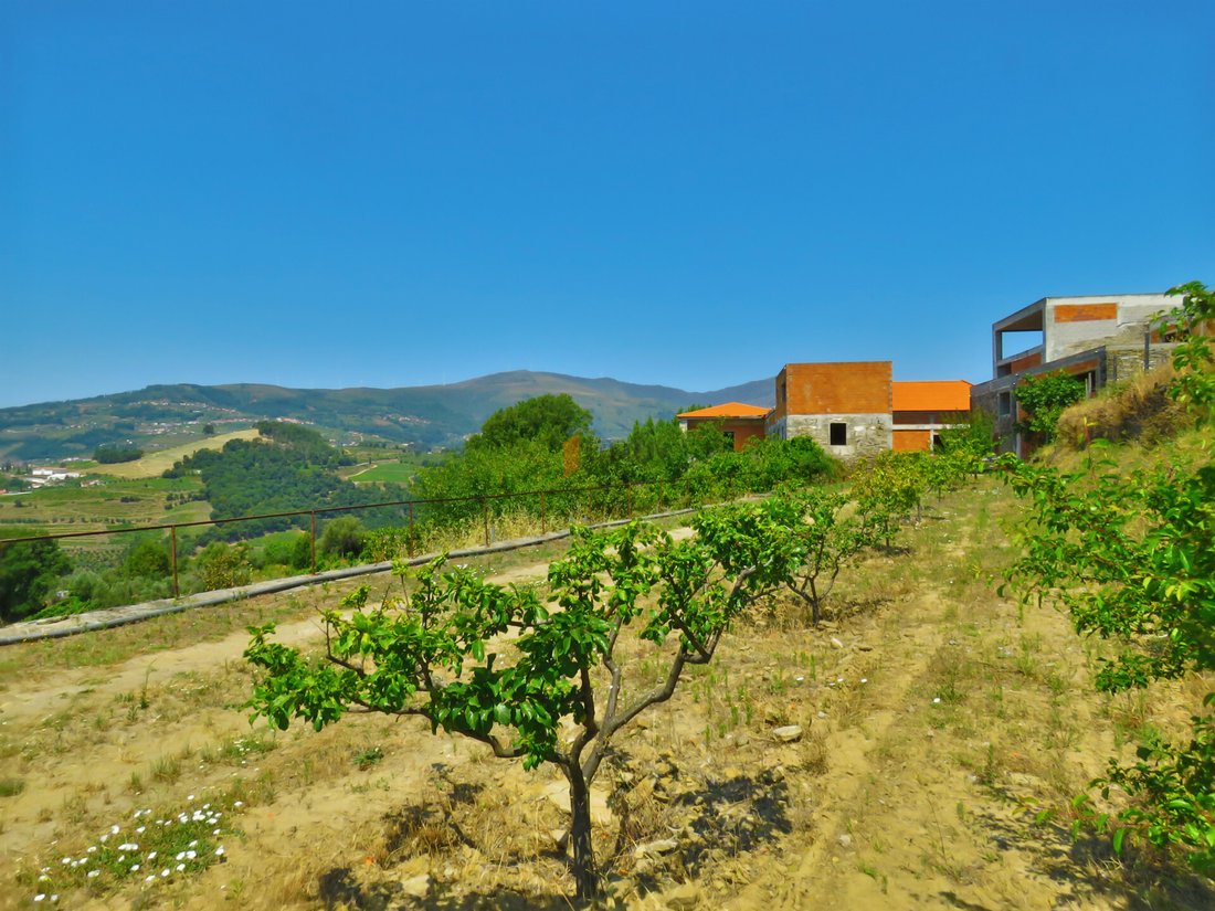 Farm Ranch in Oliveira, Vila Real District, Portugal 1 - 11385602