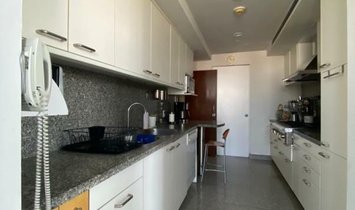 polanco seccin
