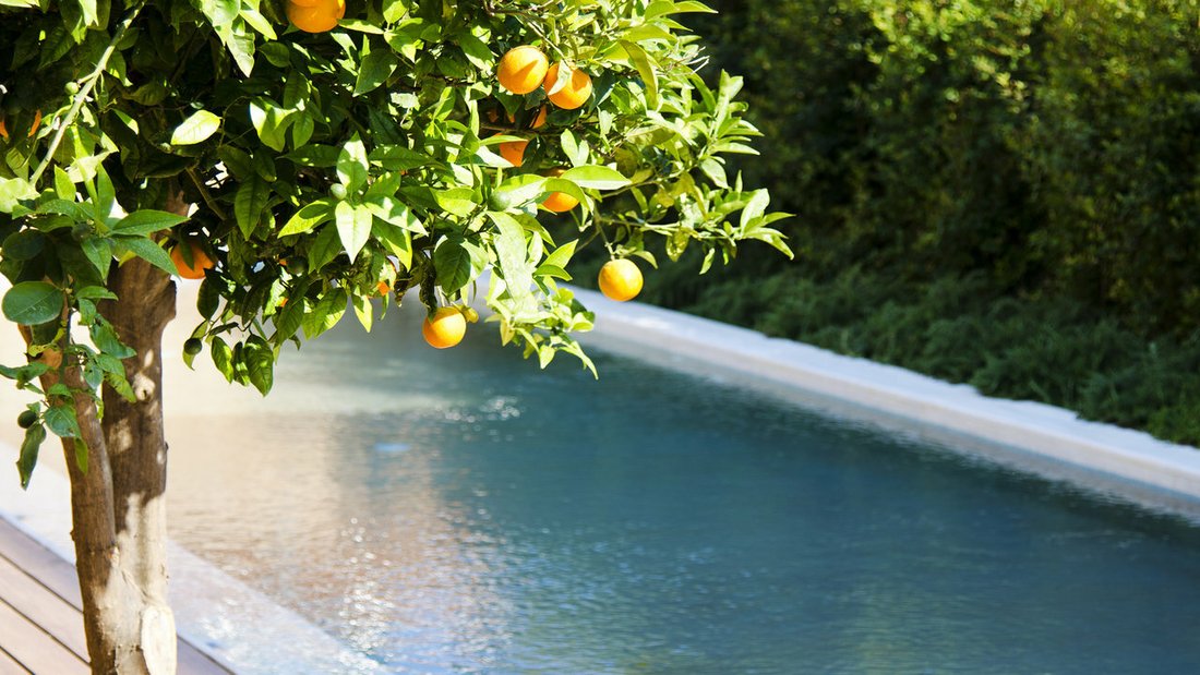 Villa in Crete, Greece 4 - 11397592