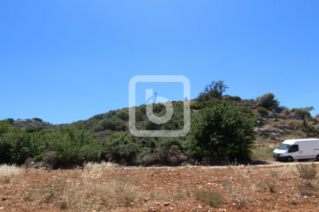 Land in Pego, Valencian Community, Spain 5 - 11438601