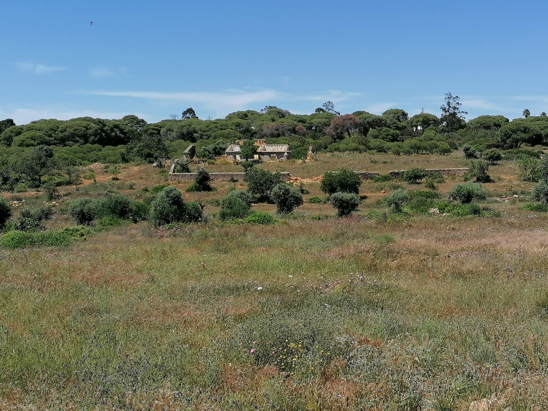 Farm Ranch in Lagoa e Carvoeiro, Algarve, Portugal 1 - 11455396