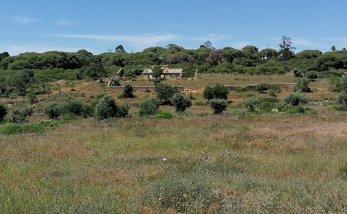 Farm Ranch in Lagoa e Carvoeiro, Algarve, Portugal 1
