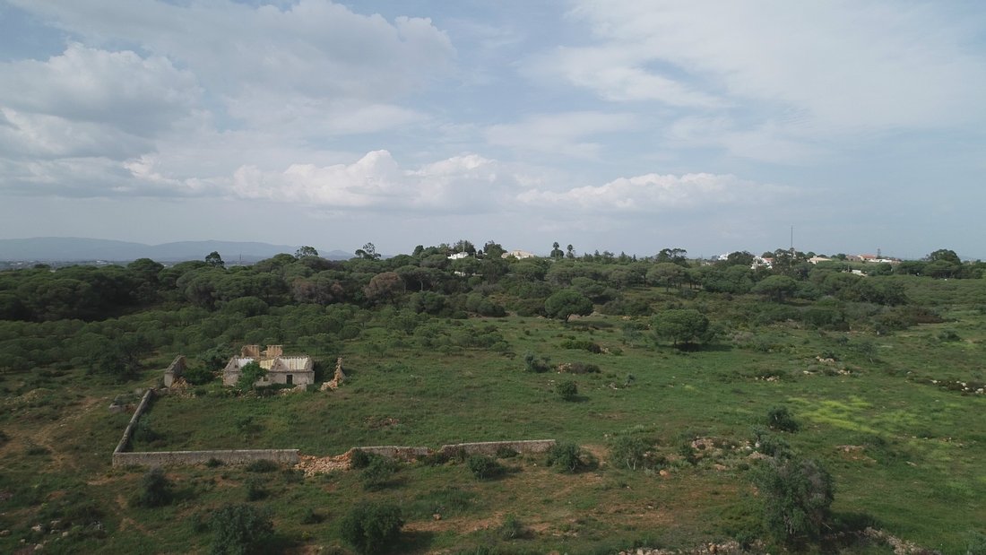 Farm Ranch in Lagoa e Carvoeiro, Algarve, Portugal 3 - 11455396