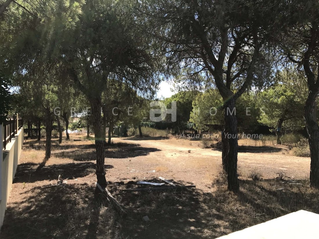 Land in Almancil, Algarve, Portugal 1 - 11107715