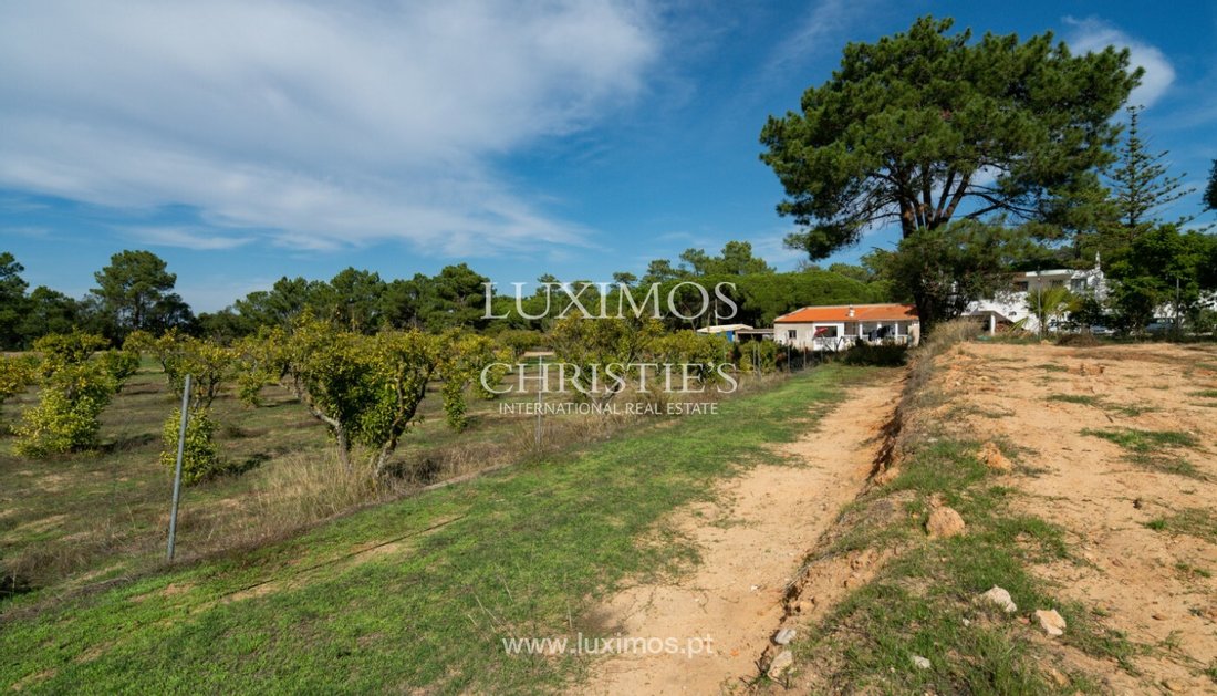 Farm Ranch in Faro (Se e Sao Pedro), Algarve, Portugal 5 - 11470270