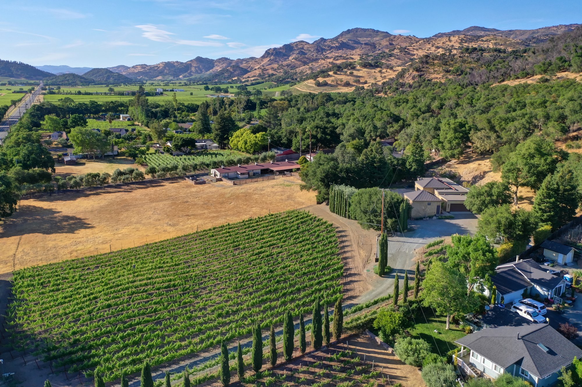 Napa Valley Vineyard Estate In Napa, California, United States For Sale