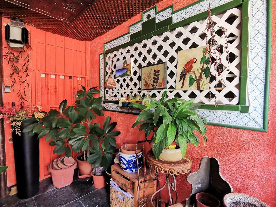 Apartment in Alicante, Valencian Community, Spain 3 - 11500045