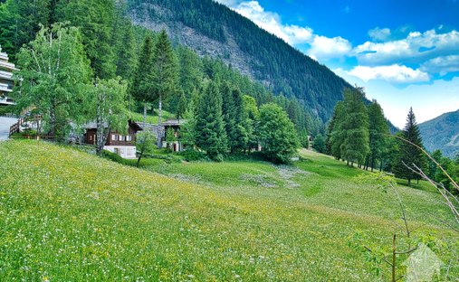 Land in Leukerbad, Valais, Switzerland 1