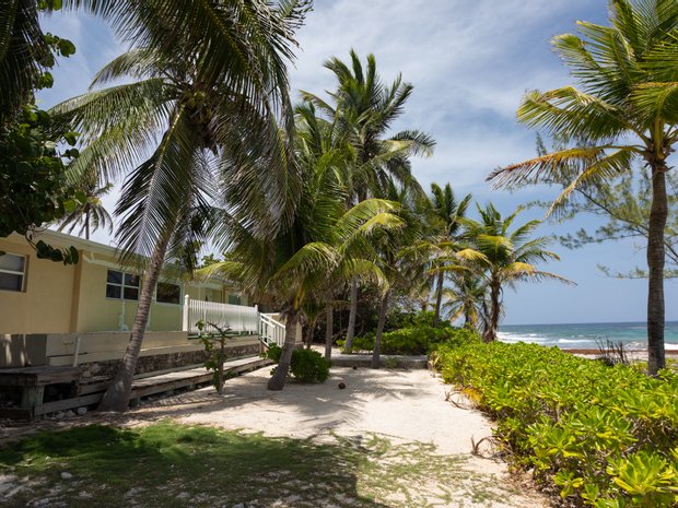 Hus i Cotton Tree Bay, Sister Islands, Caymanöarna 1