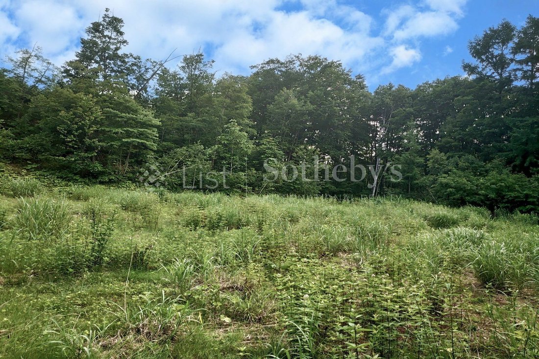Land in Tone-gun, Tone District, Japan 2 - 11523461